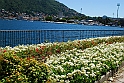 Lago di Como_205